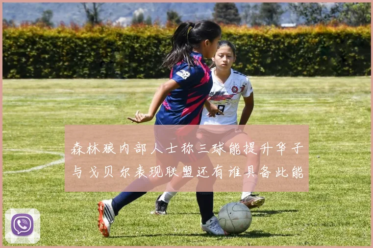 森林狼内部人士称三球能提升华子与戈贝尔表现联盟还有谁具备此能力