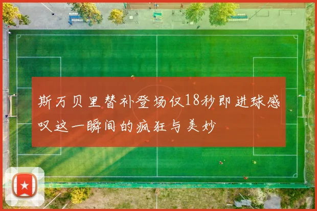 斯万贝里替补登场仅18秒即进球感叹这一瞬间的疯狂与美妙